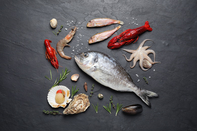 Photo of Fresh fish and different seafood on black table, flat lay