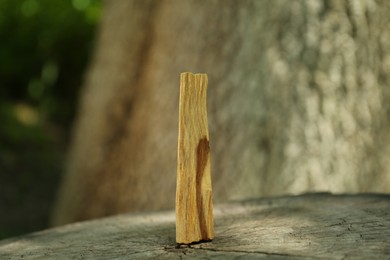 Palo santo stick on wooden stump outdoors