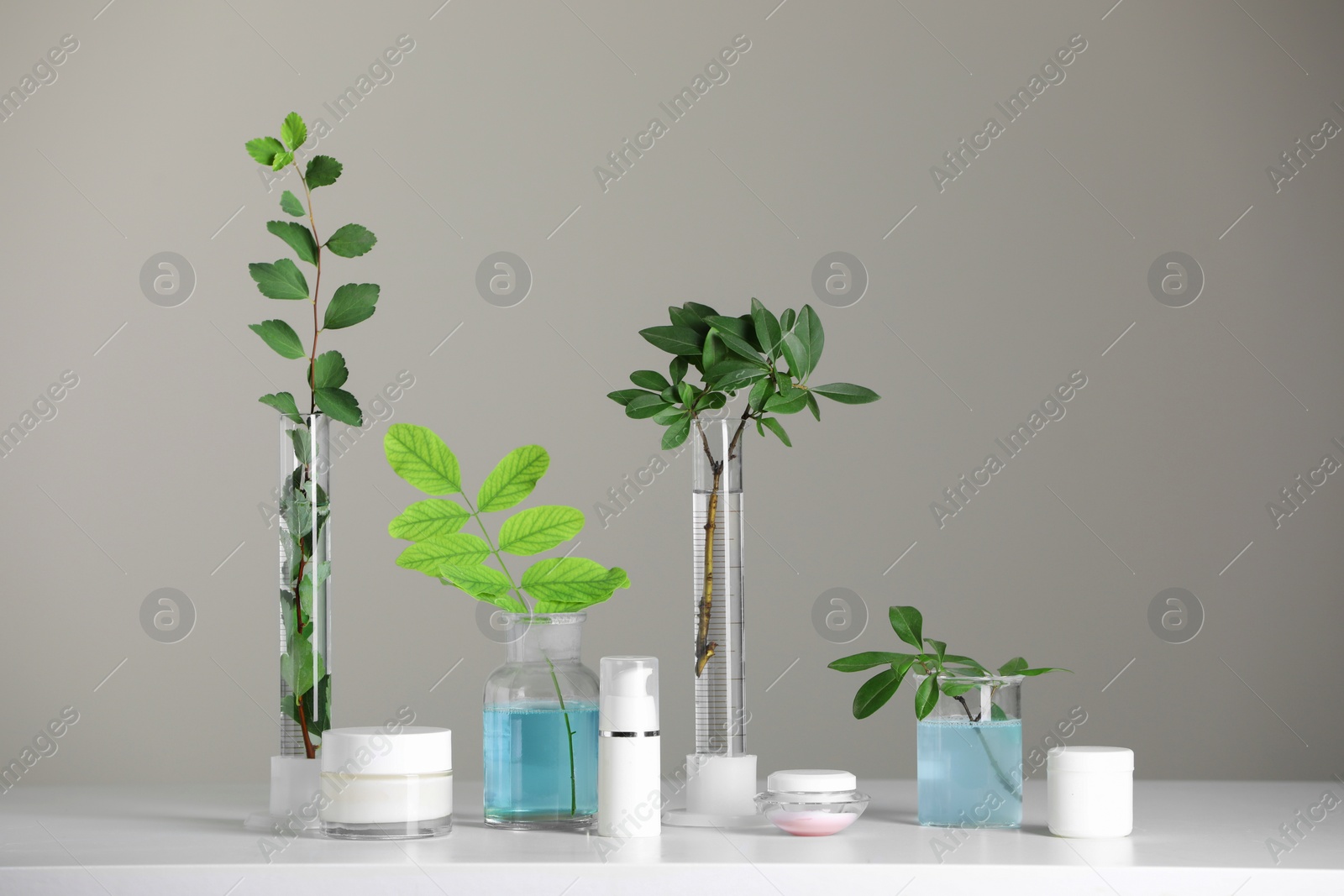 Photo of Many containers and glass tubes with leaves on white table against light grey background