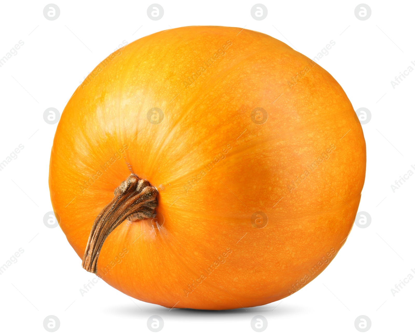 Photo of One fresh orange pumpkin isolated on white