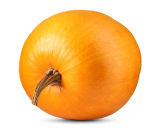 One fresh orange pumpkin isolated on white