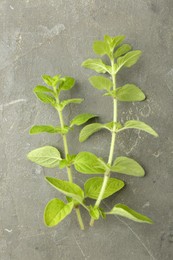 Photo of Sprigs of fresh green oregano on gray textured table, top view