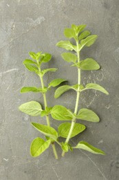 Sprigs of fresh green oregano on gray textured table, top view