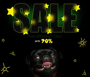Advertising poster Pet Shop SALE. Cute dog and discount offer on black background