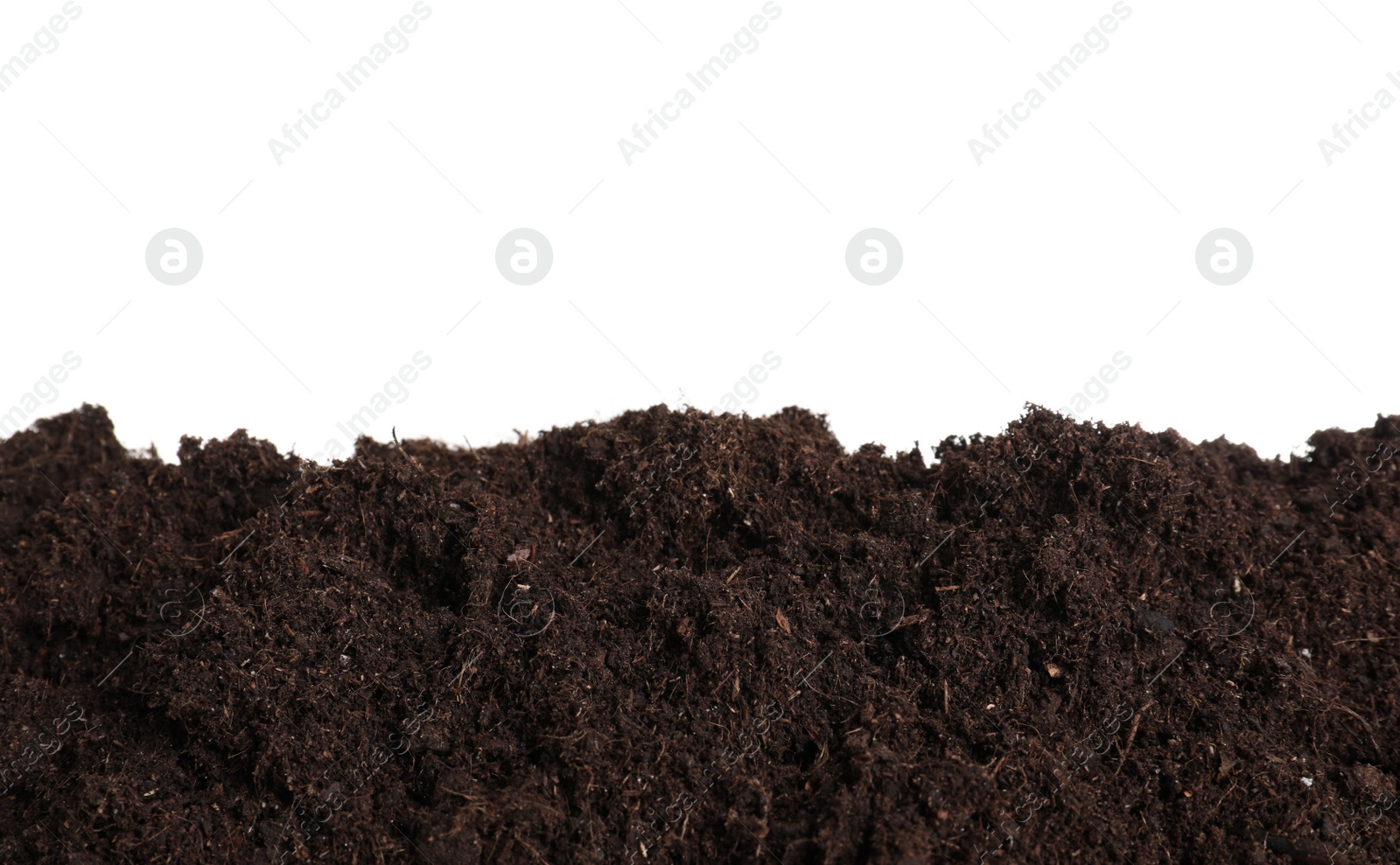 Photo of Layer of fresh soil isolated on white. Gardening time