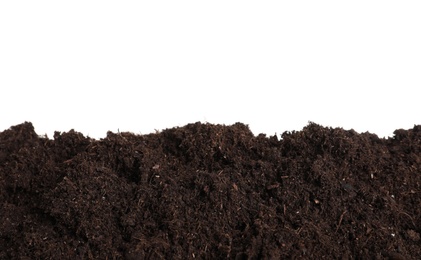 Photo of Layer of fresh soil isolated on white. Gardening time