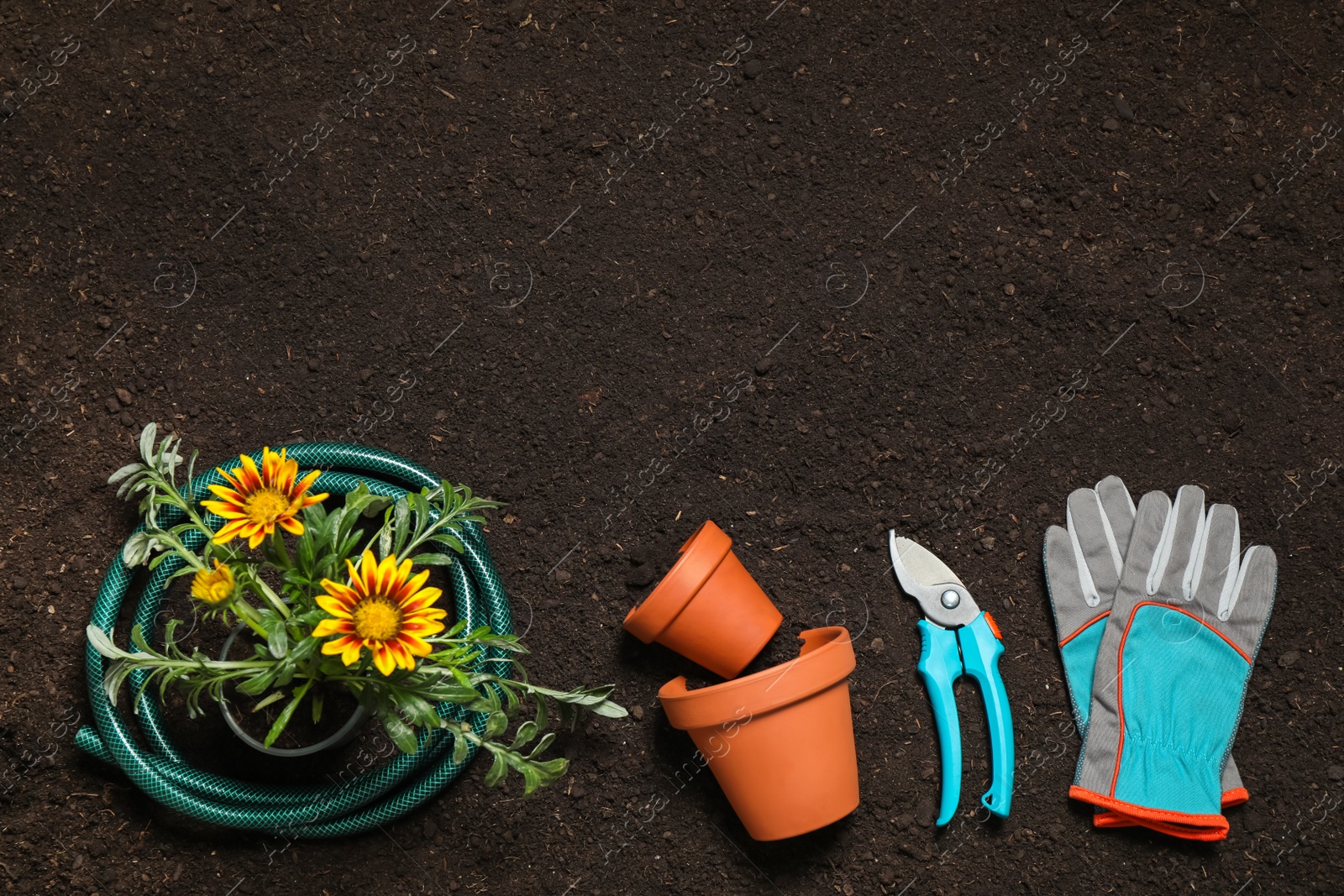 Photo of Flat lay composition with gardening equipment and flower on soil, space for text