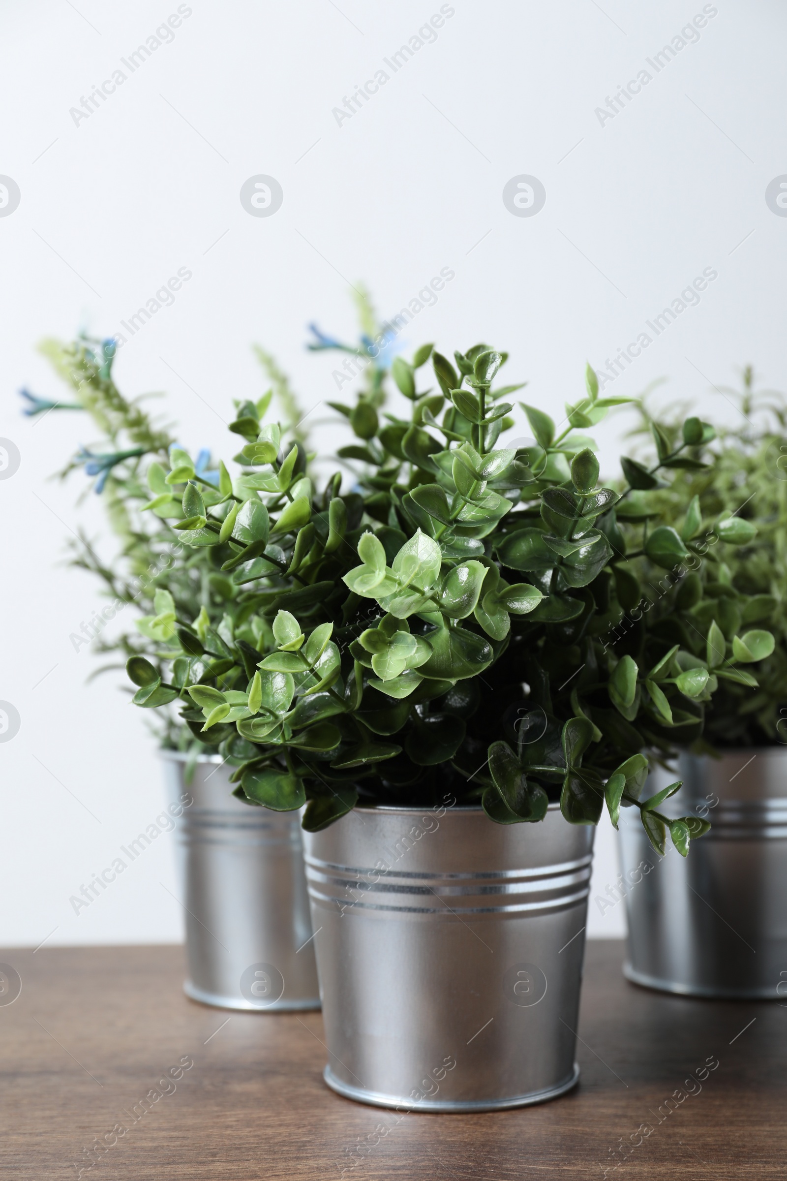 Photo of Different aromatic potted herbs on wooden table against white background, closeup