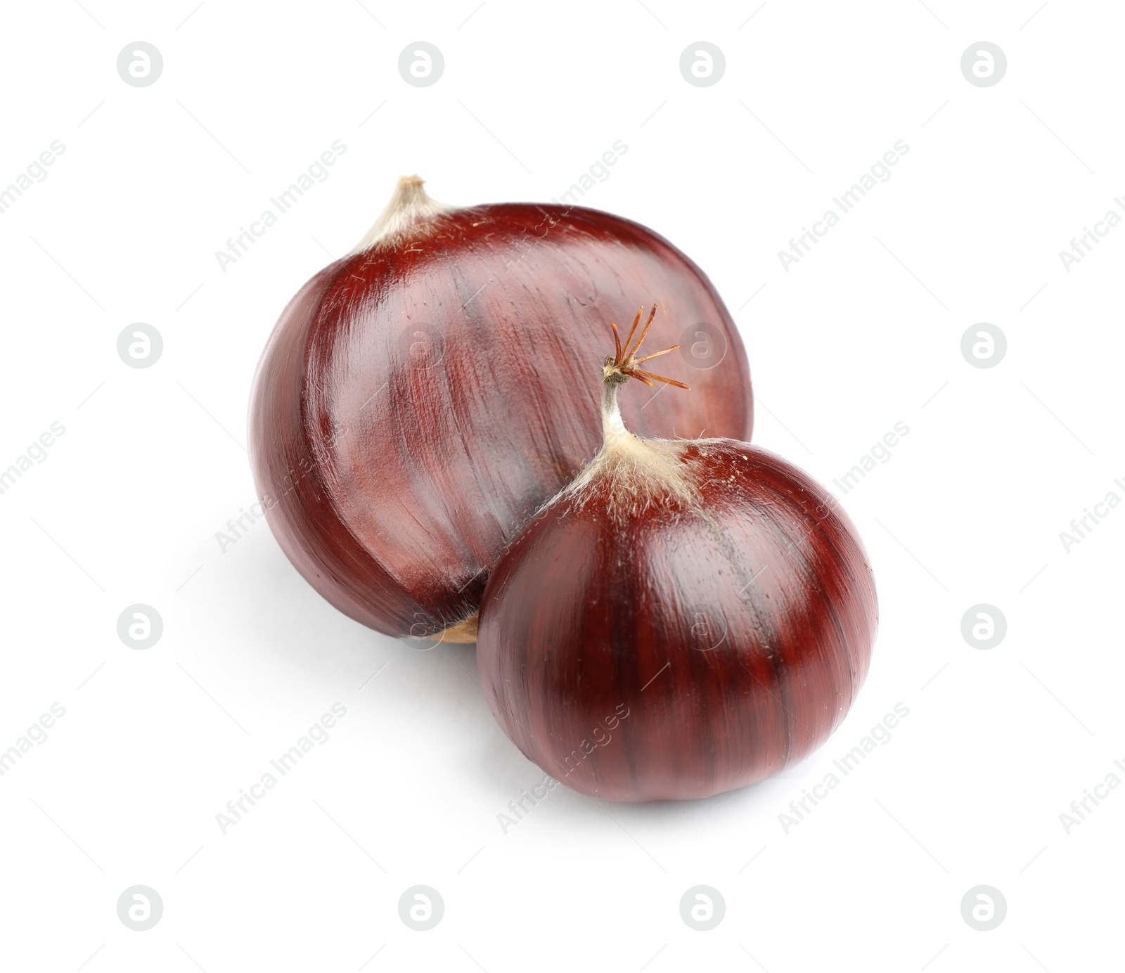 Photo of Fresh sweet edible chestnuts on white background