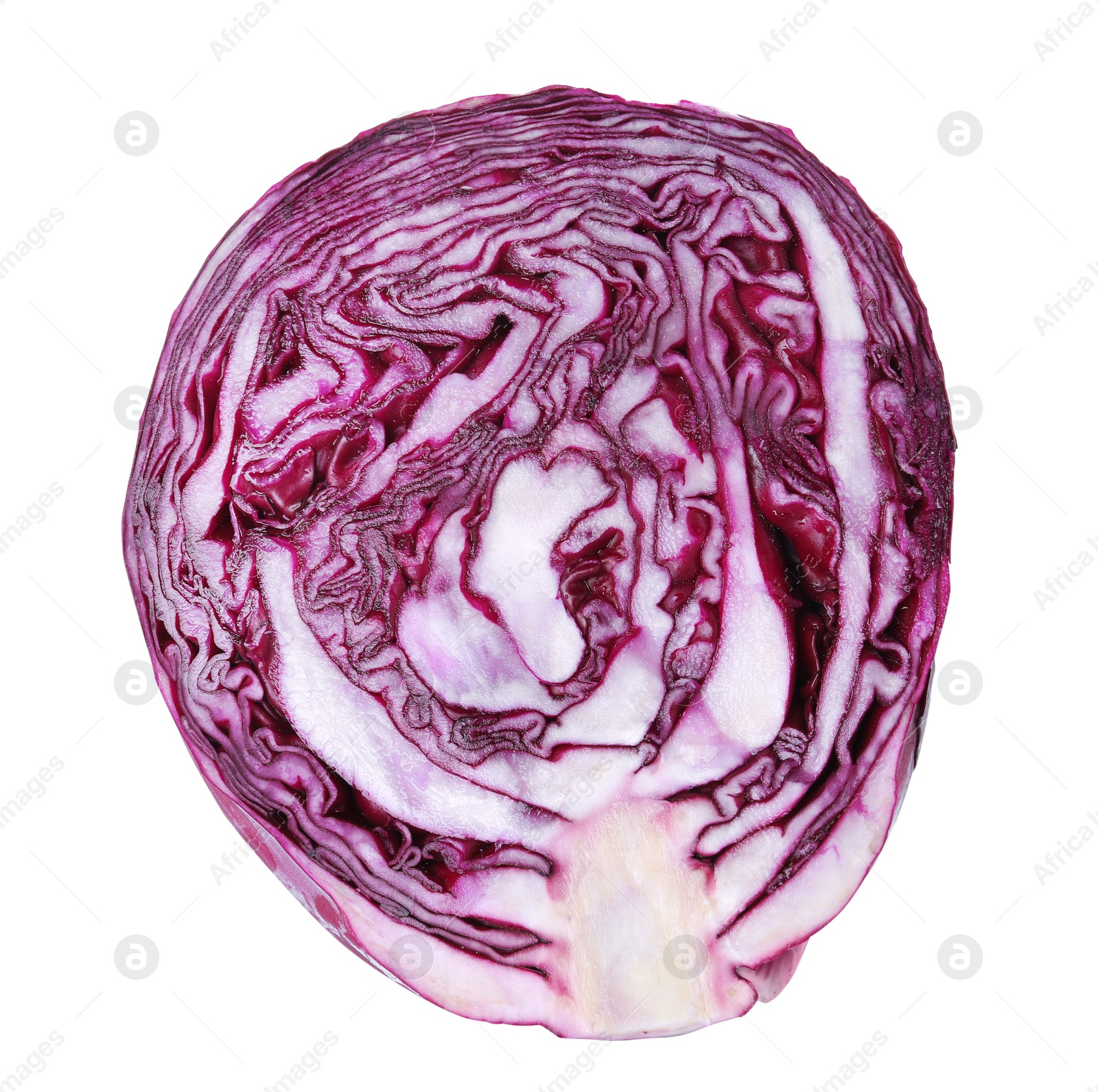 Photo of Fresh ripe red cabbage isolated on white