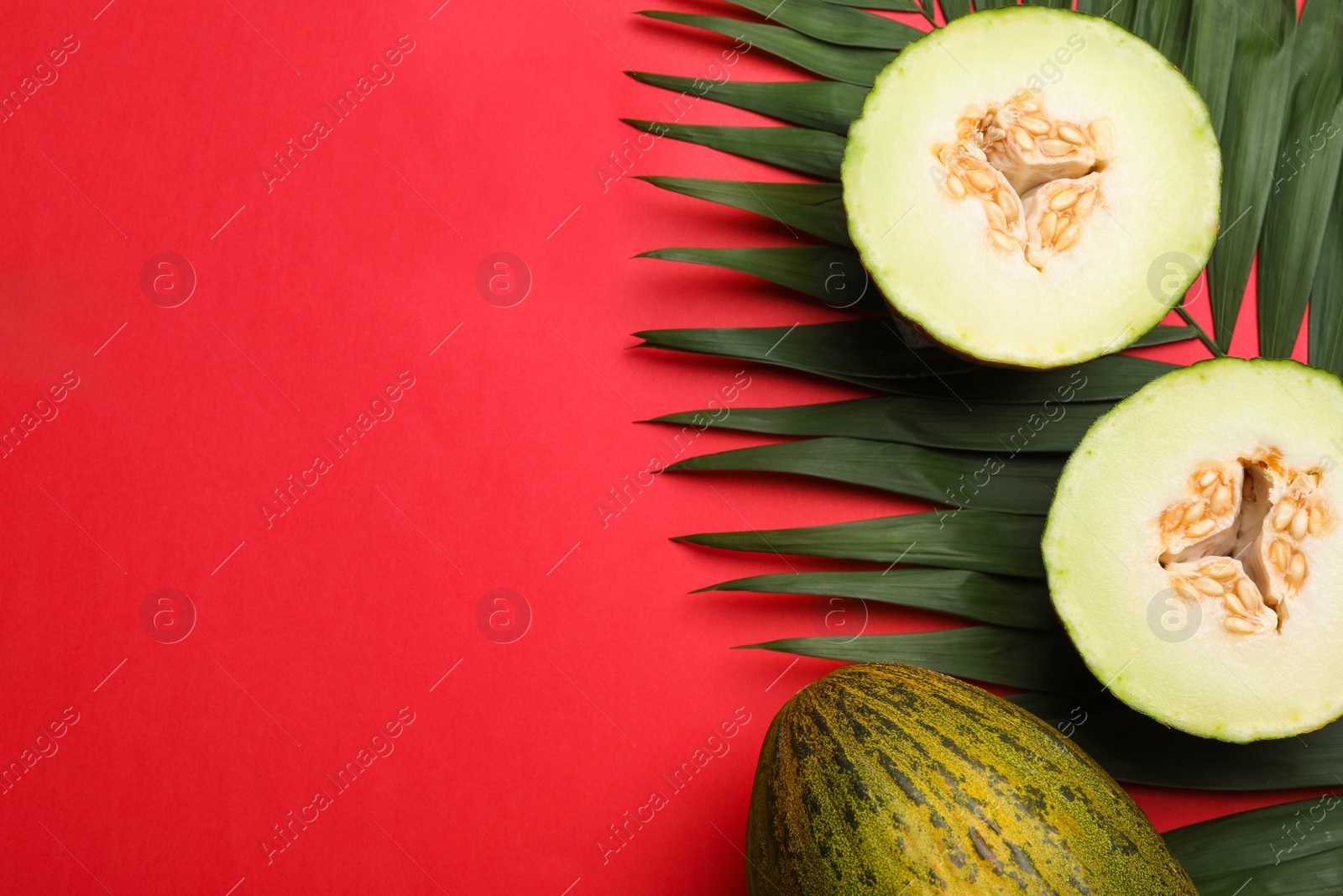 Photo of Composition with ripe tasty melons on red background, flat lay. Space for text