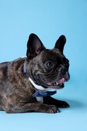 Photo of Adorable French Bulldog with bow tie on light blue background