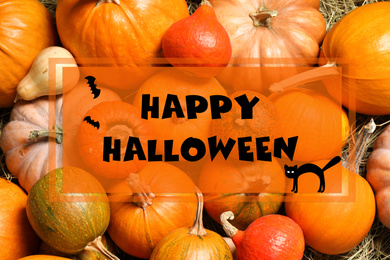 Image of Happy Halloween greeting card design. Many fresh pumpkins, top view
