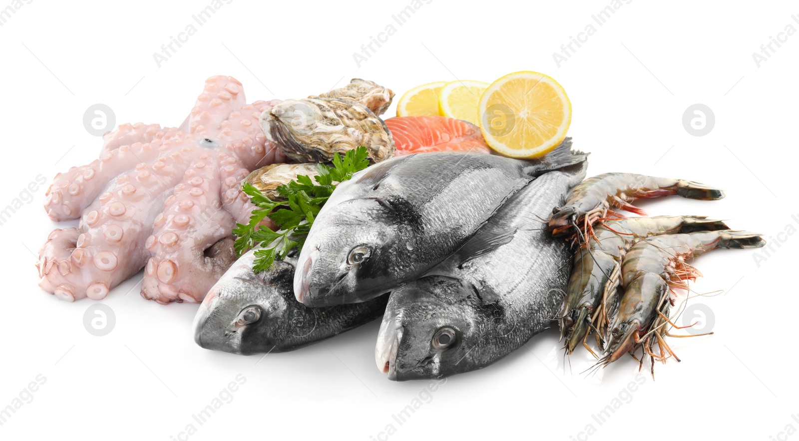 Photo of Fresh dorado fish, octopus, shrimps, oysters and salmon on white background