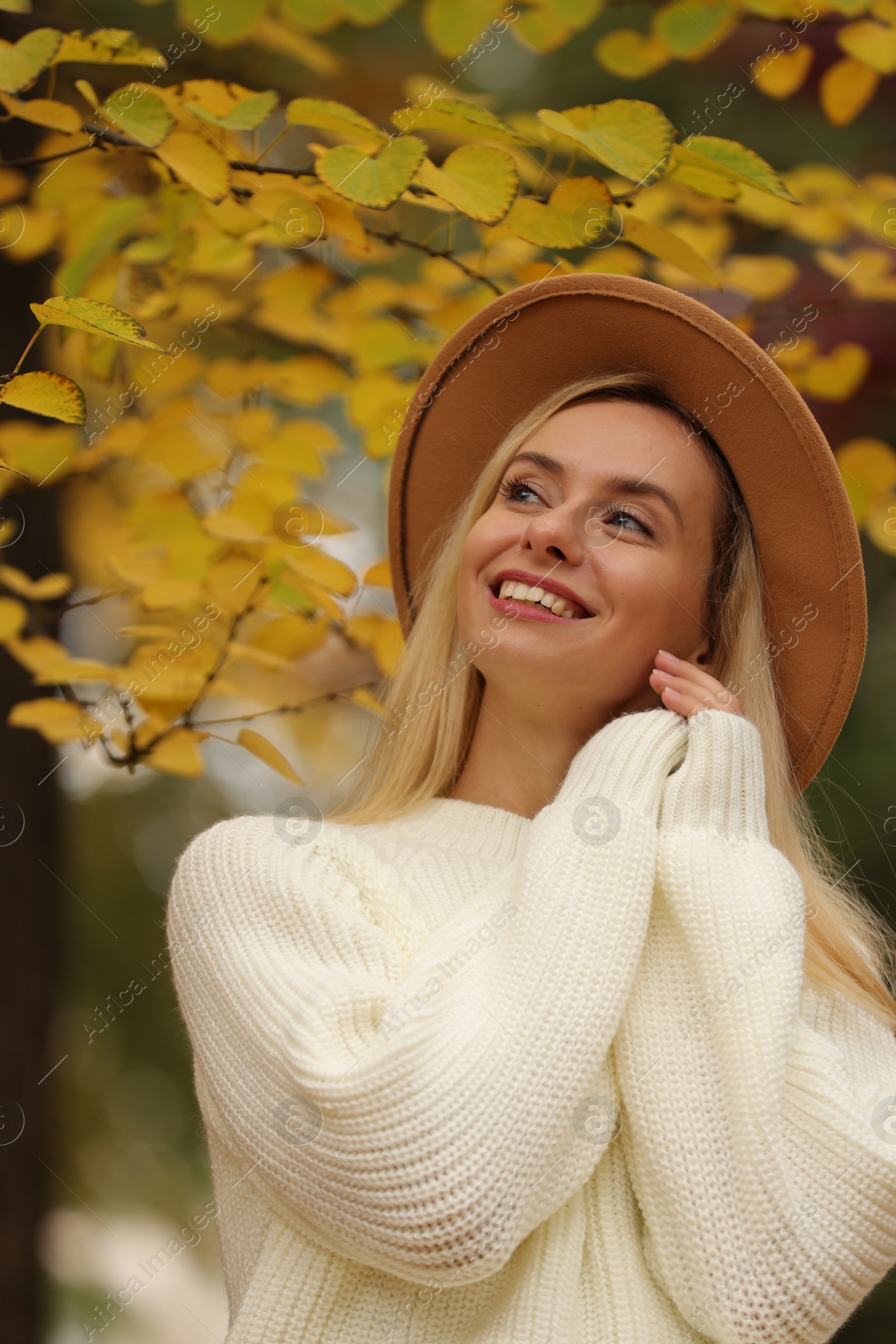 Photo of Portrait of happy woman wearing warm sweater in autumn park