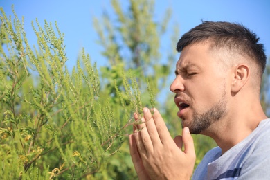 Man suffering from ragweed allergy outdoors on sunny day