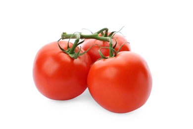 Photo of Branch of ripe red tomatoes on white background