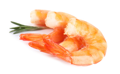 Photo of Delicious cooked shrimps and rosemary isolated on white