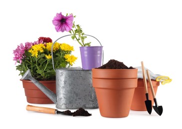 Photo of Beautiful flowers, pots and gardening tools isolated on white