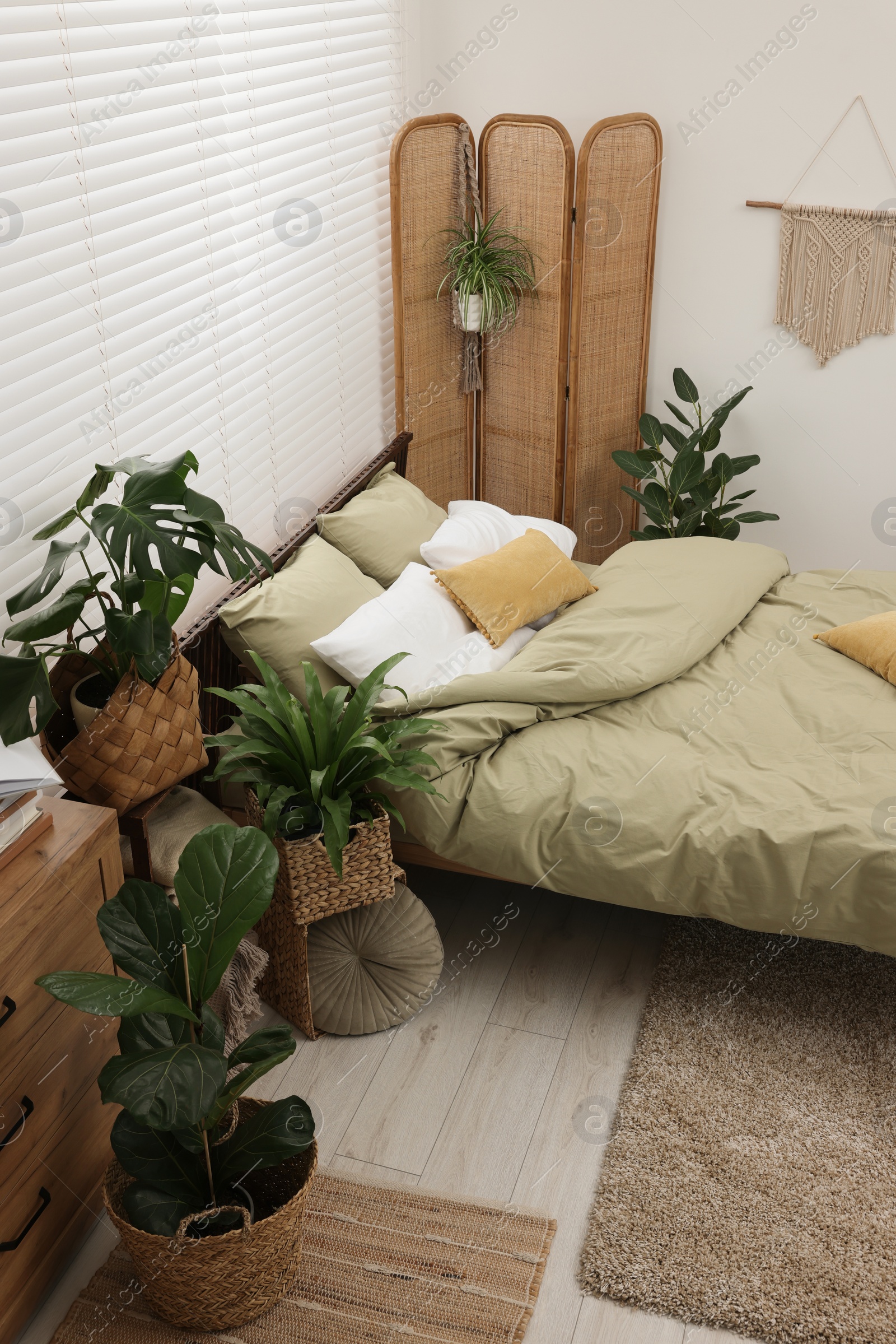 Photo of Comfortable bed and beautiful green houseplants in bedroom