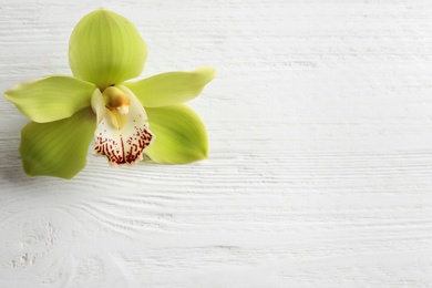 Photo of Beautiful tropical orchid flower on white wooden background. Space for text