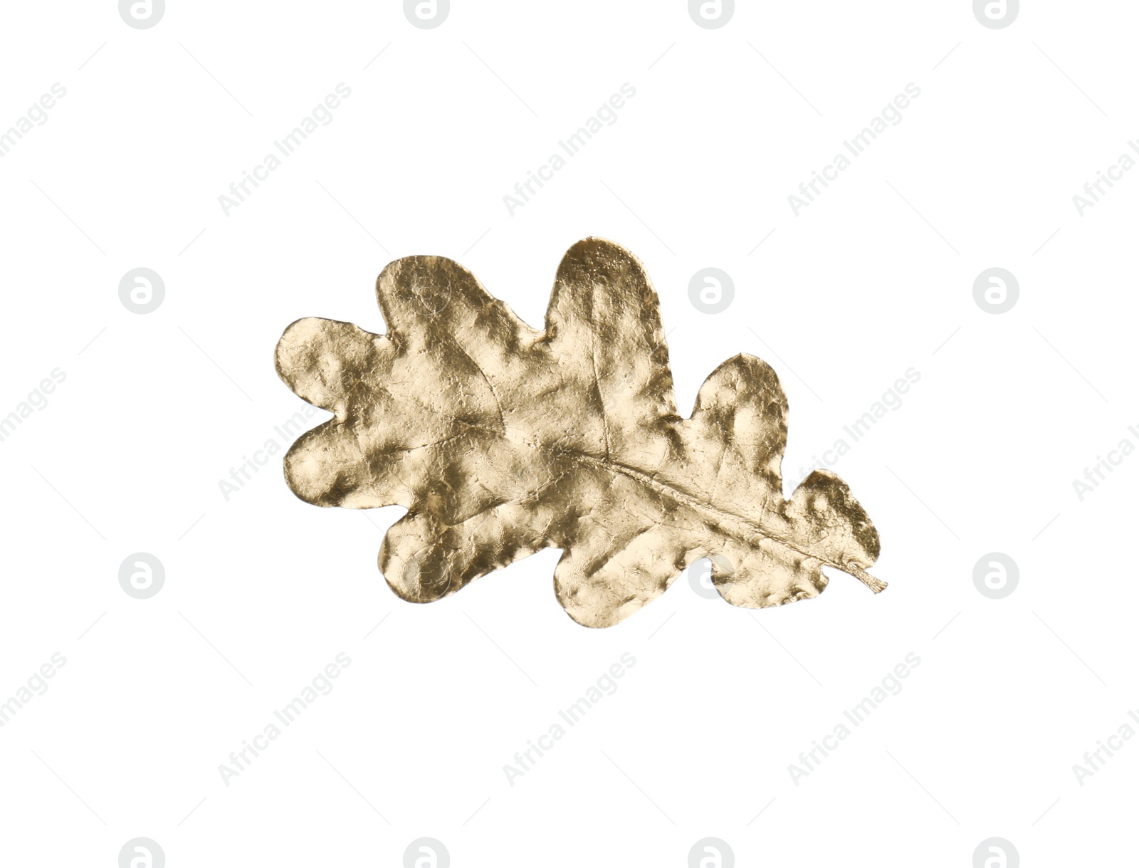 Photo of One golden oak leaf isolated on white. Autumn season