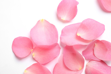 Fresh pink rose petals on white background, top view