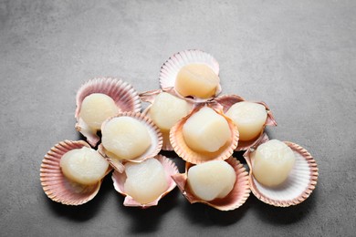 Photo of Many fresh raw scallops in shells on grey table, flat lay