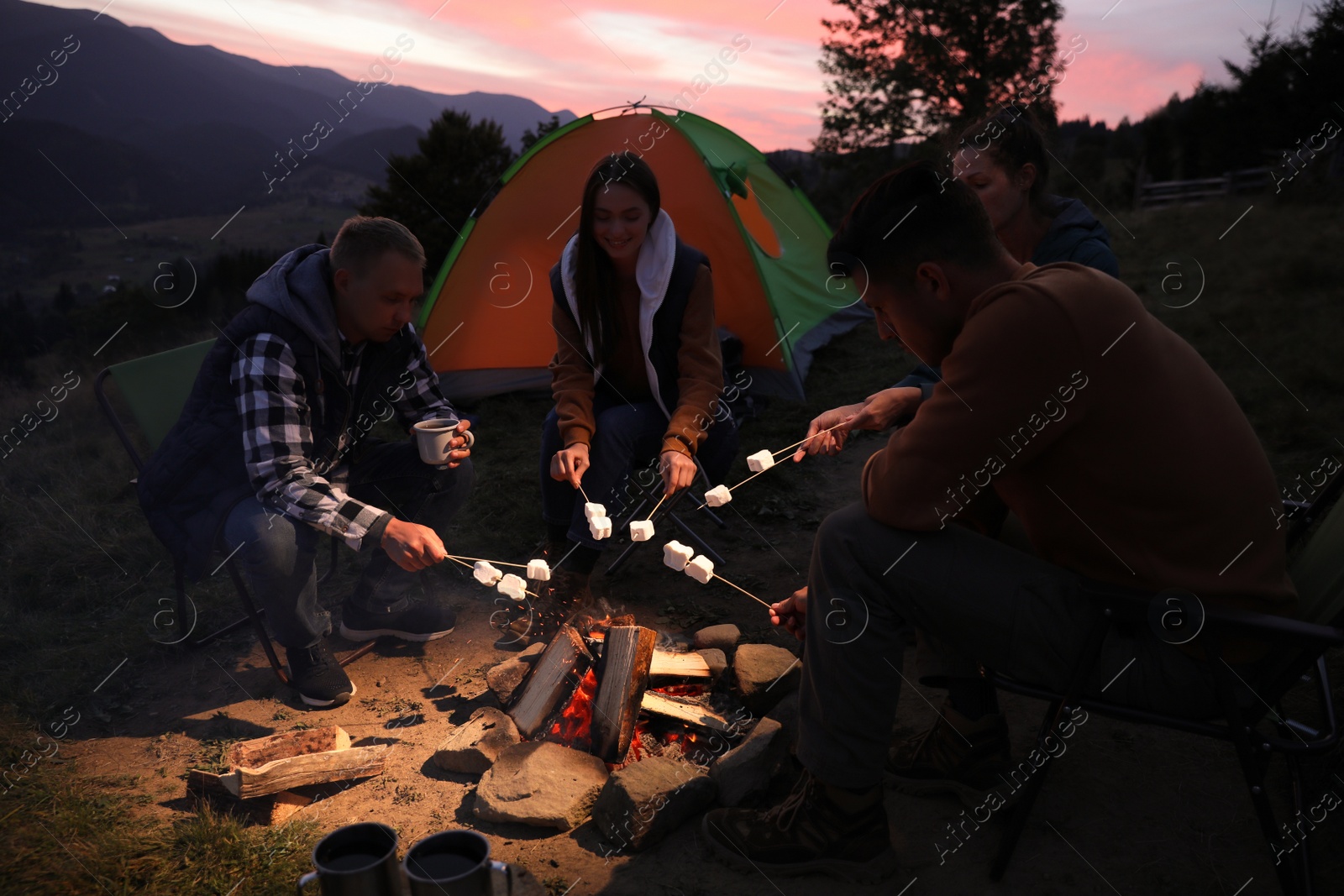 Photo of Group of friends roasting marshmallows on bonfire at camping site in evening