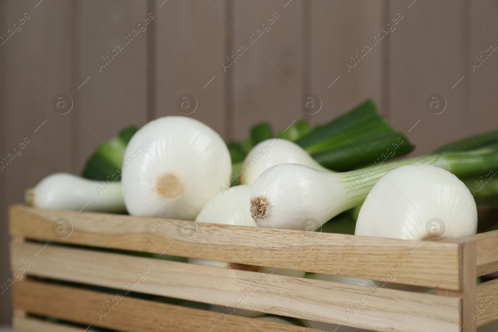 Photo of Crate with green spring onions, closeup. Space for text