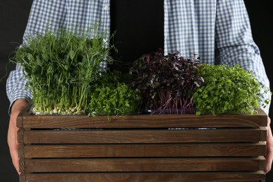 Man with wooden crate of different fresh microgreens on black background, closeup