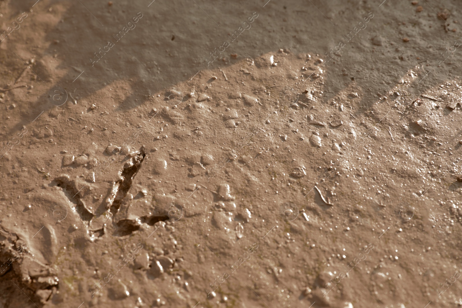 Photo of View of textured ground mud outdoors on sunny day