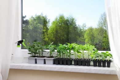 Photo of Seedlings growing in plastic containers with soil and spray bottle on windowsill indoors