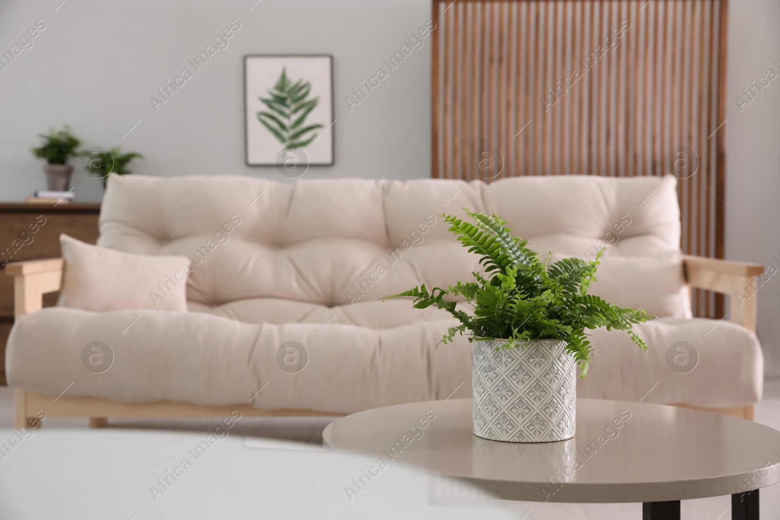 Photo of Beautiful potted fern on table in living room. Space for text