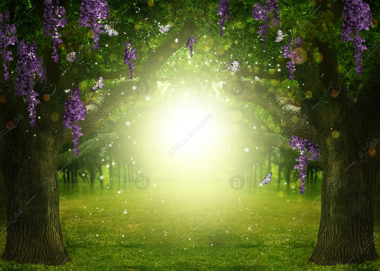Image of Fantasy world. Enchanted forest with beautiful butterflies, magic lights and sunlit way between trees