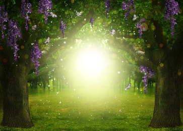 Image of Fantasy world. Enchanted forest with beautiful butterflies, magic lights and sunlit way between trees