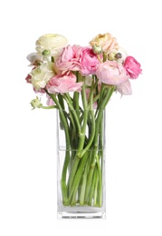 Photo of Beautiful ranunculus flowers in glass vase isolated on white