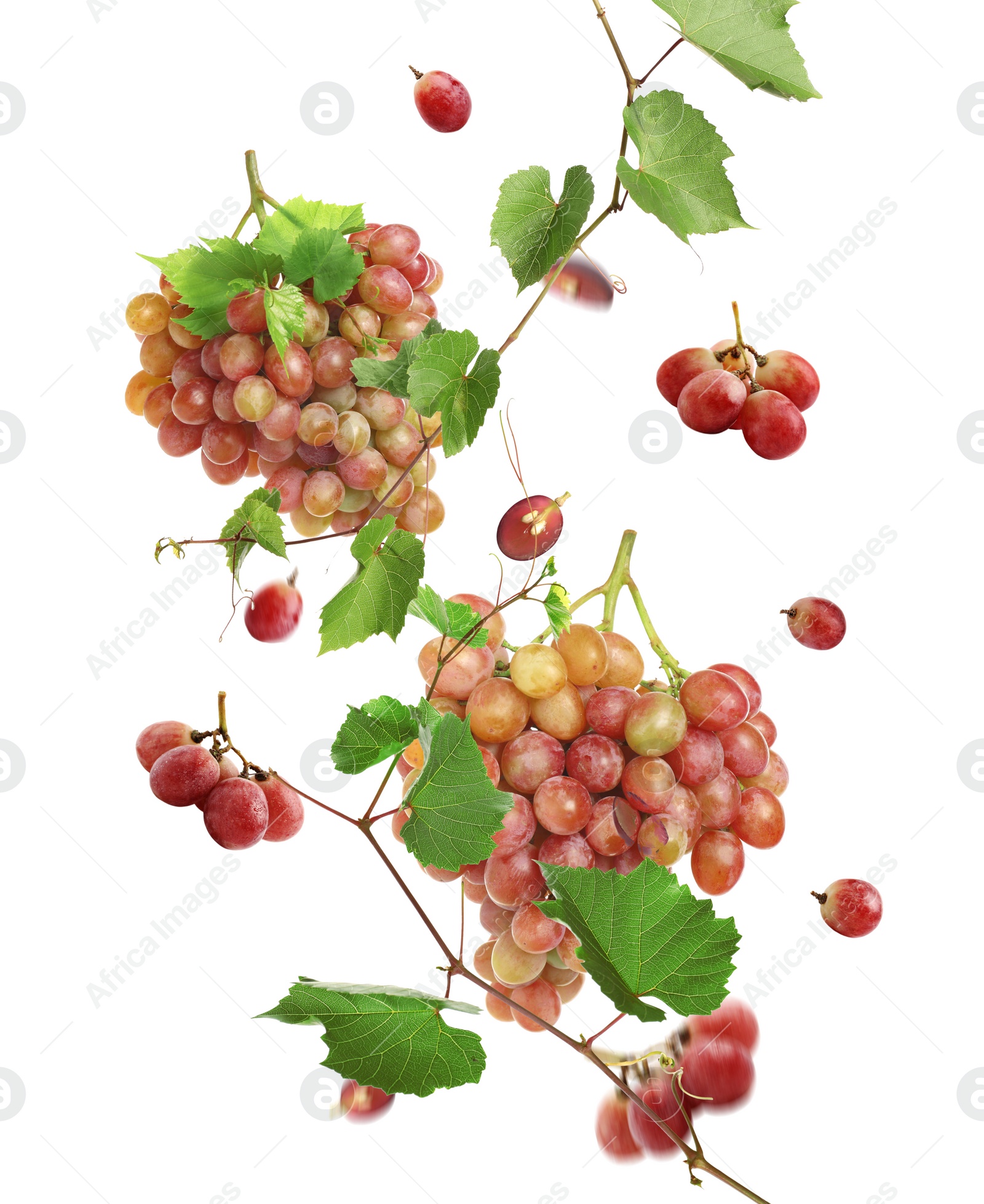 Image of Fresh ripe grapes with green leaves falling on white background