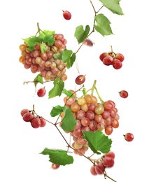 Fresh ripe grapes with green leaves falling on white background