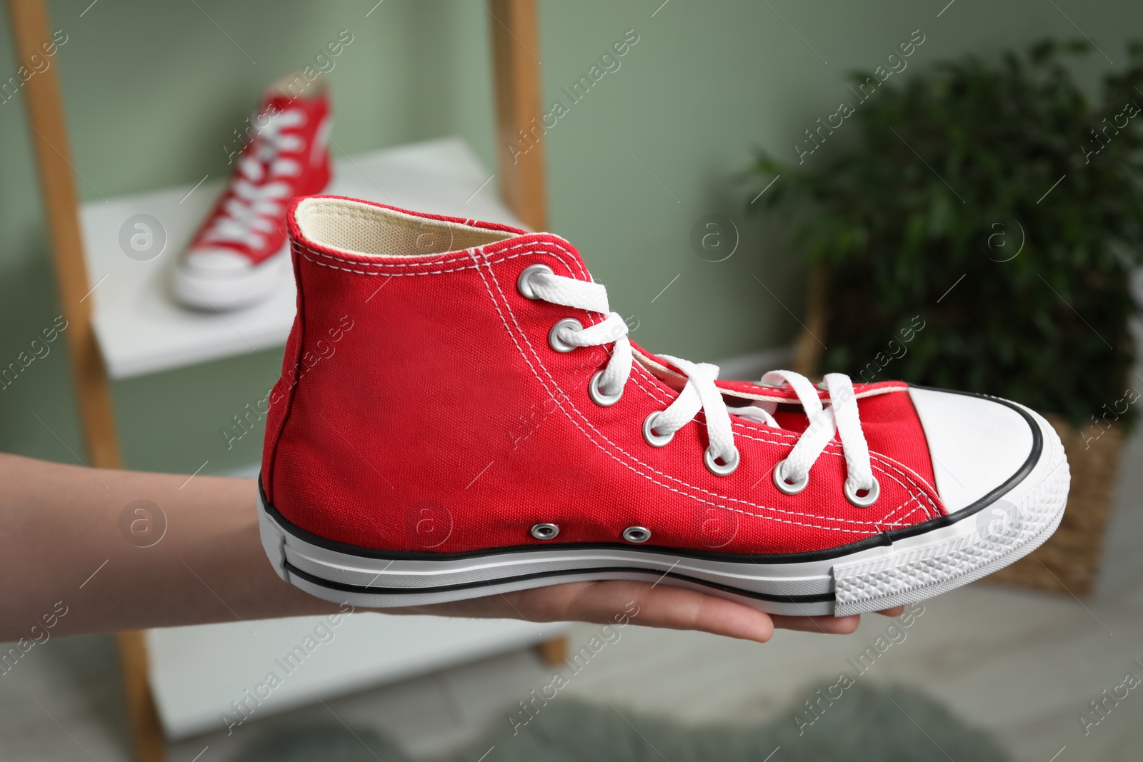 Photo of Woman holding new stylish red sneaker indoors, closeup