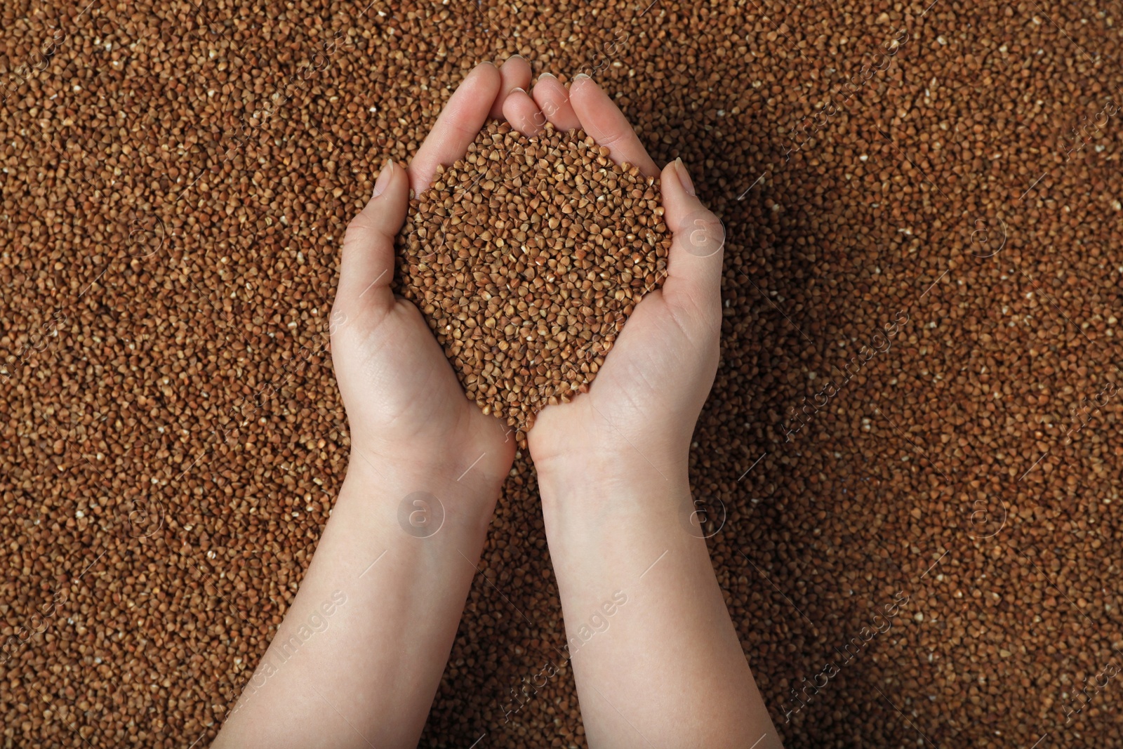 Photo of Closeup of woman holding raw buckwheat over grains, top view