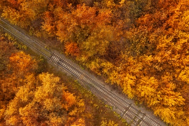 Image of Beautiful aerial view of autumn forest crossed by railway