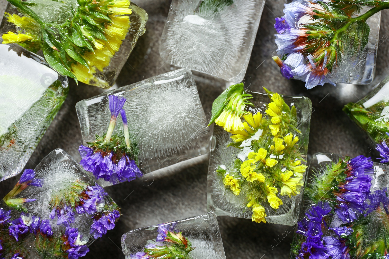 Photo of Ice cubes with flowers on grey stone background, flat lay