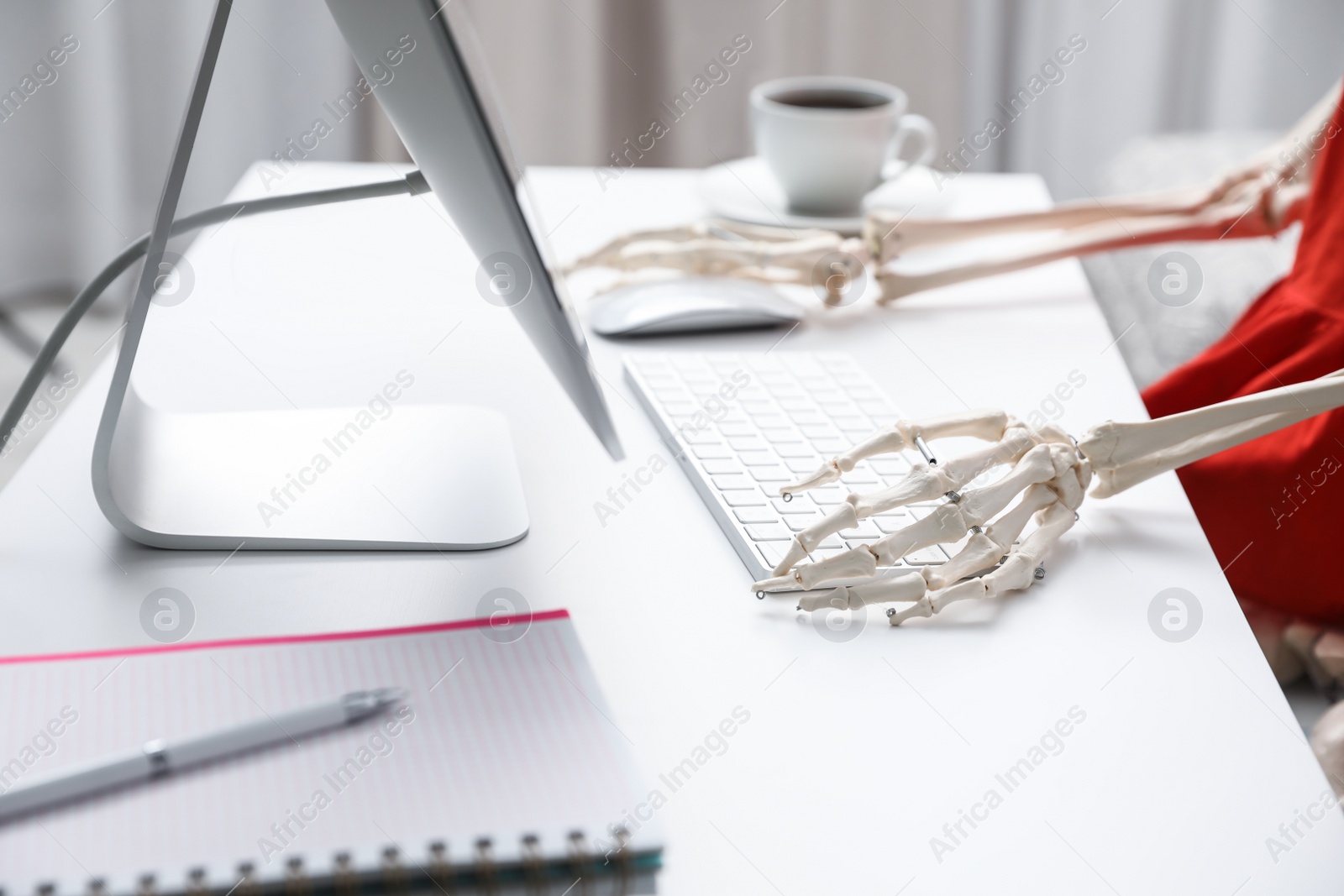 Photo of Human skeleton at table in office, closeup