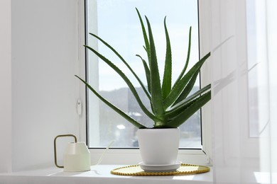 Photo of Green aloe vera plant in pot and watering can on windowsill