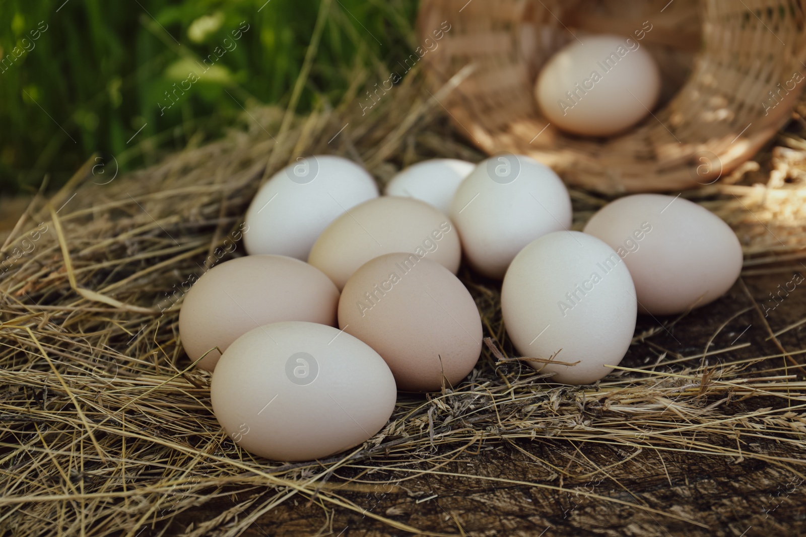 Photo of Fresh raw eggs and straw on wooden surface outdoors, closeup