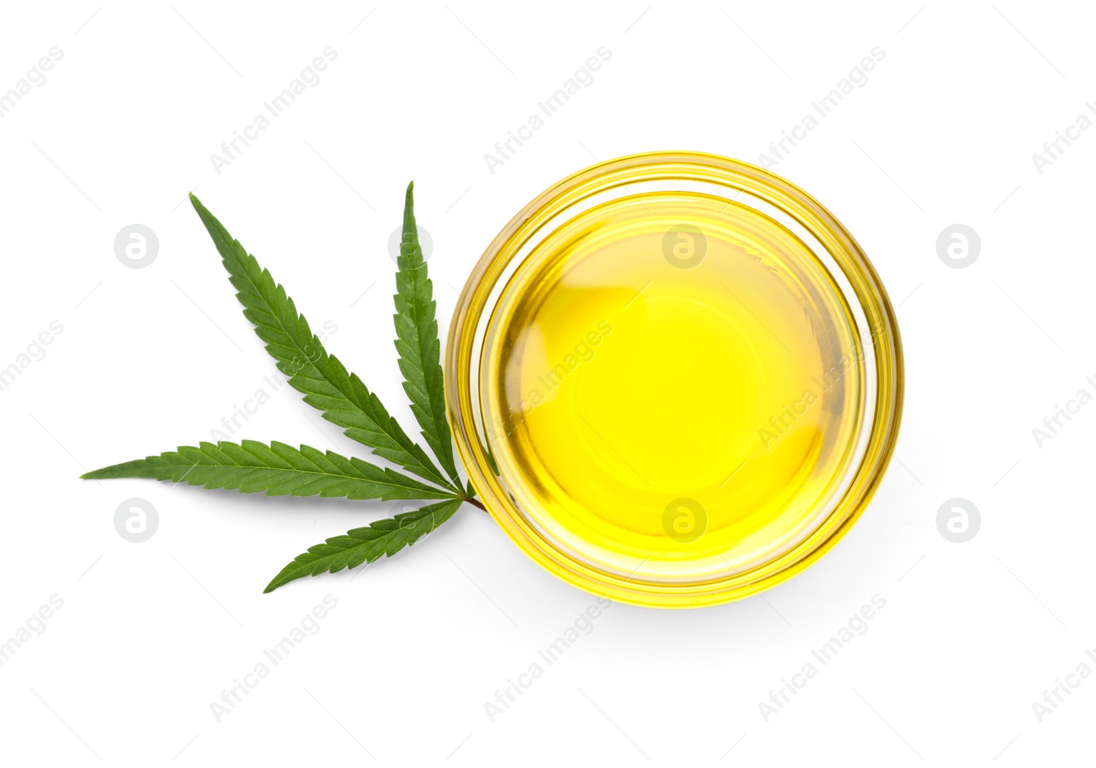 Photo of Bowl with hemp oil and leaf on white background, top view