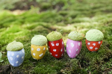 Photo of Colorful painted acorns with polka dot pattern on green moss outdoors, closeup