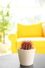 Beautiful cactus in flowerpot on table indoors