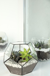 Photo of Glass florariums with different succulents on windowsill, space for text